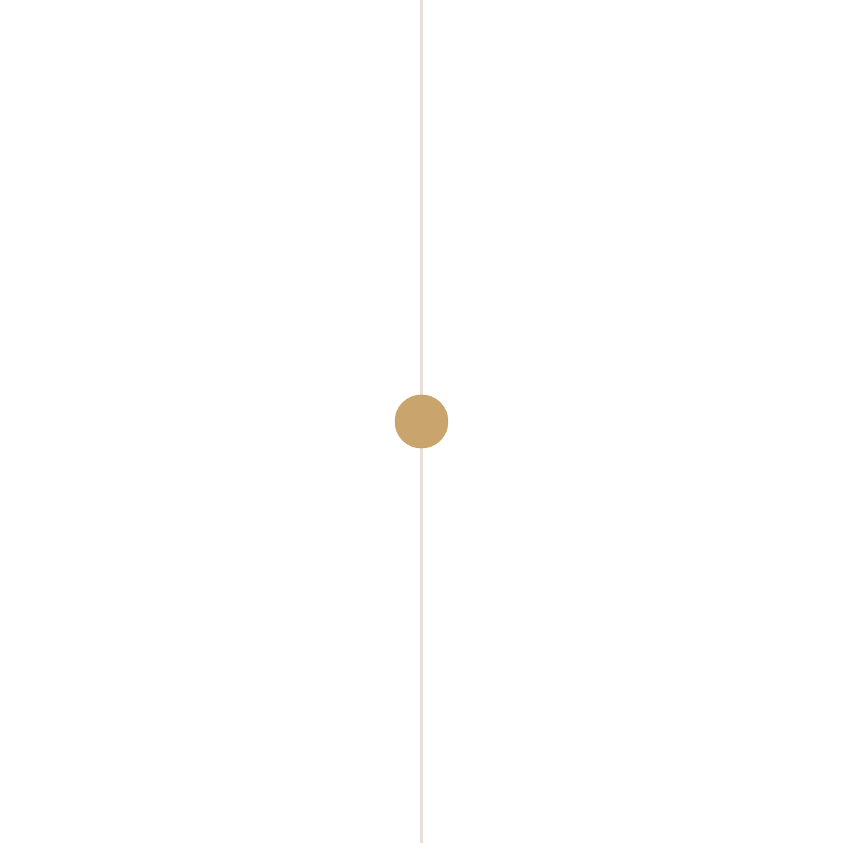 untitled design (8)